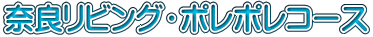 ޗǃrOE||R[X